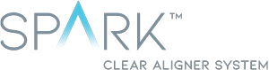 Spark Logo